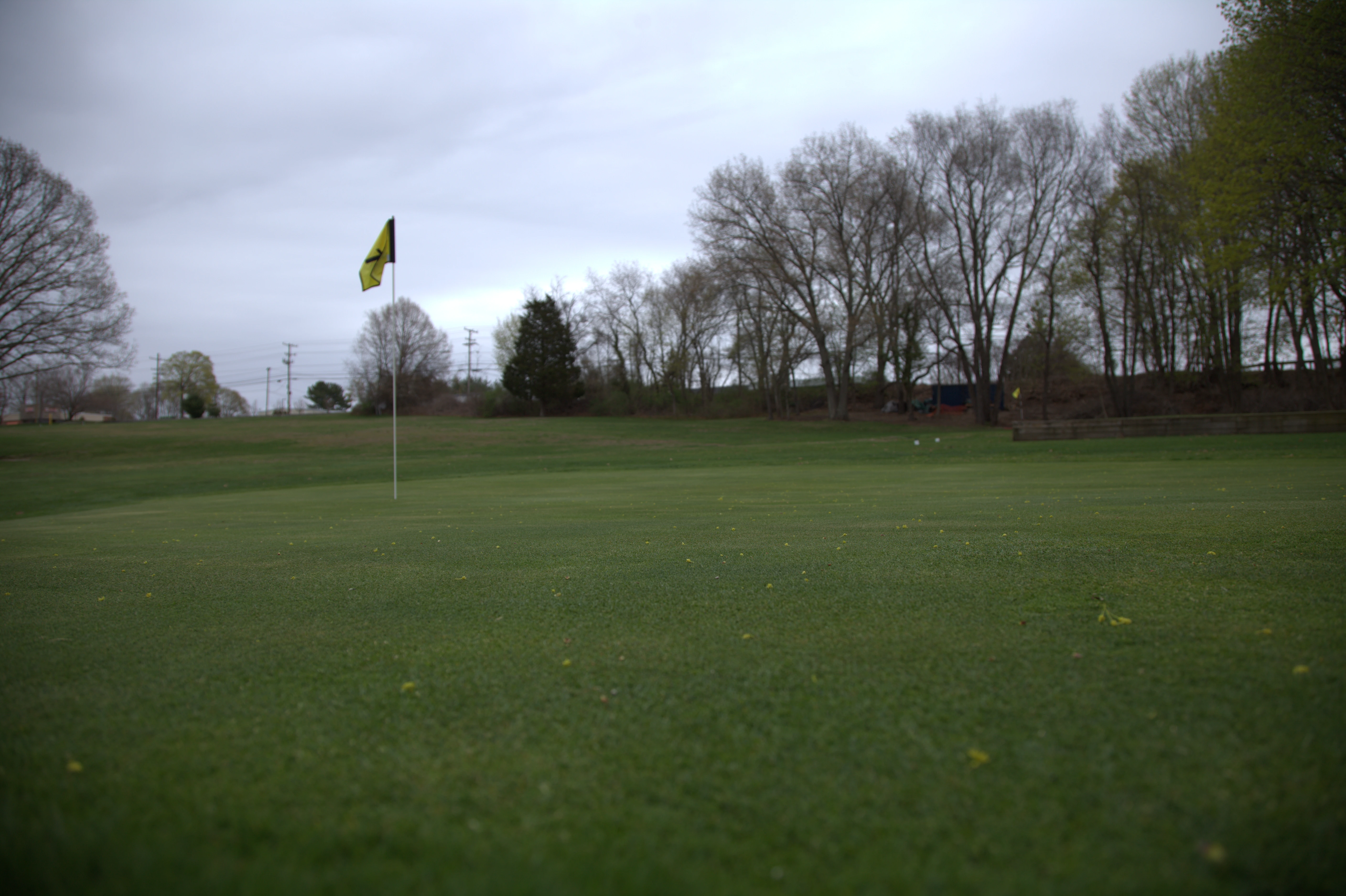 Silver Springs Green