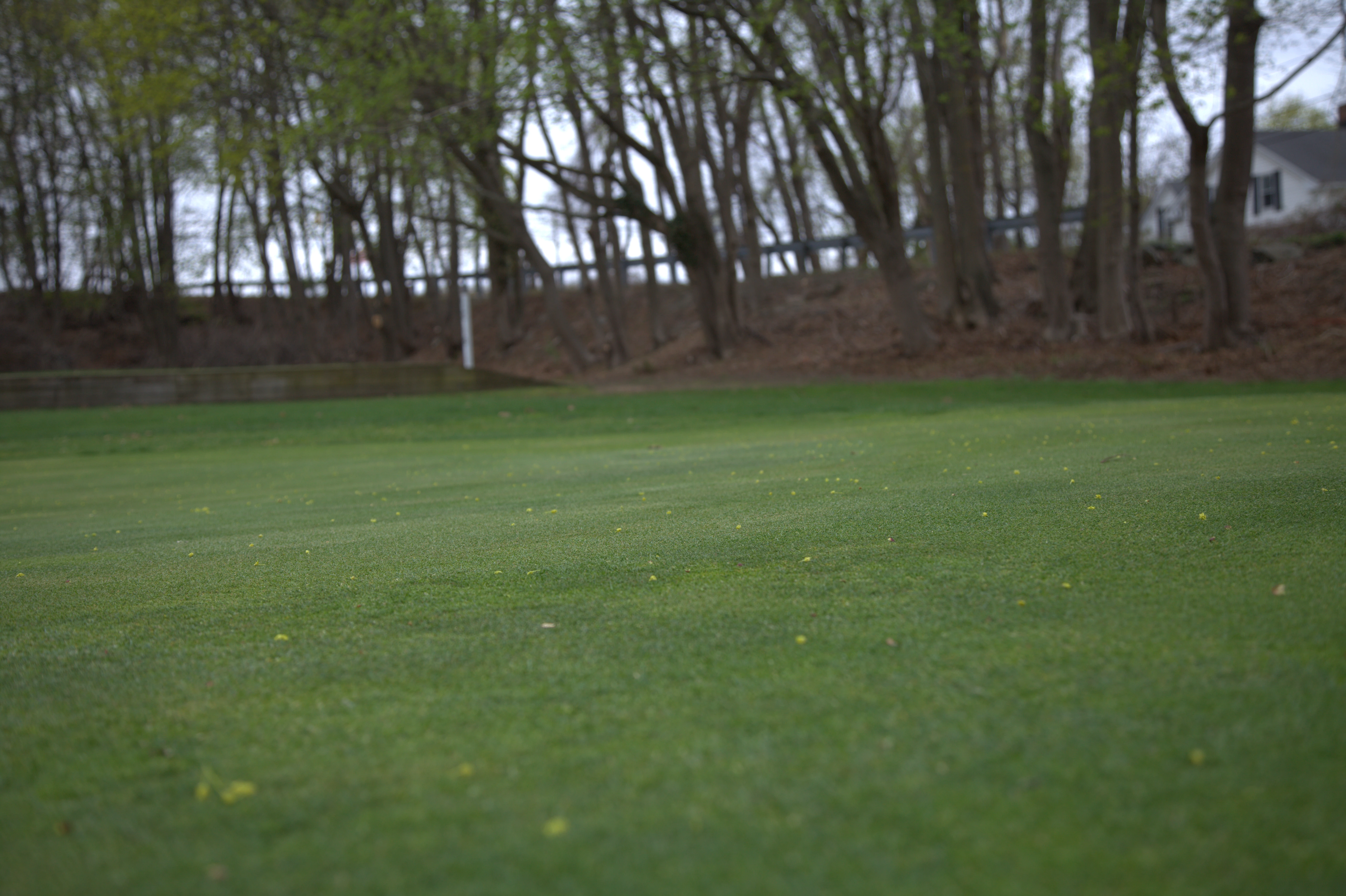 Silver Springs Green