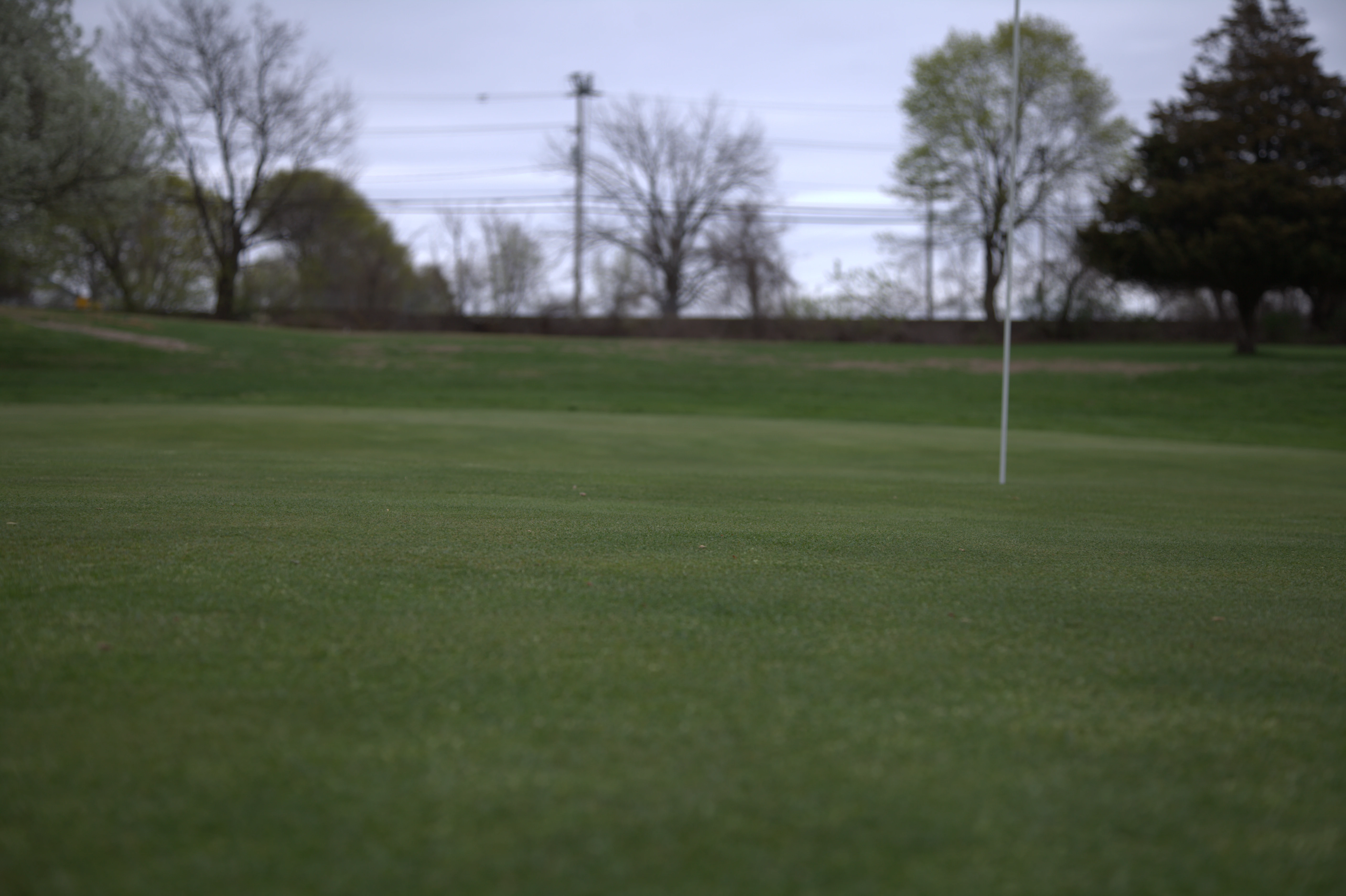 Silver Springs Green