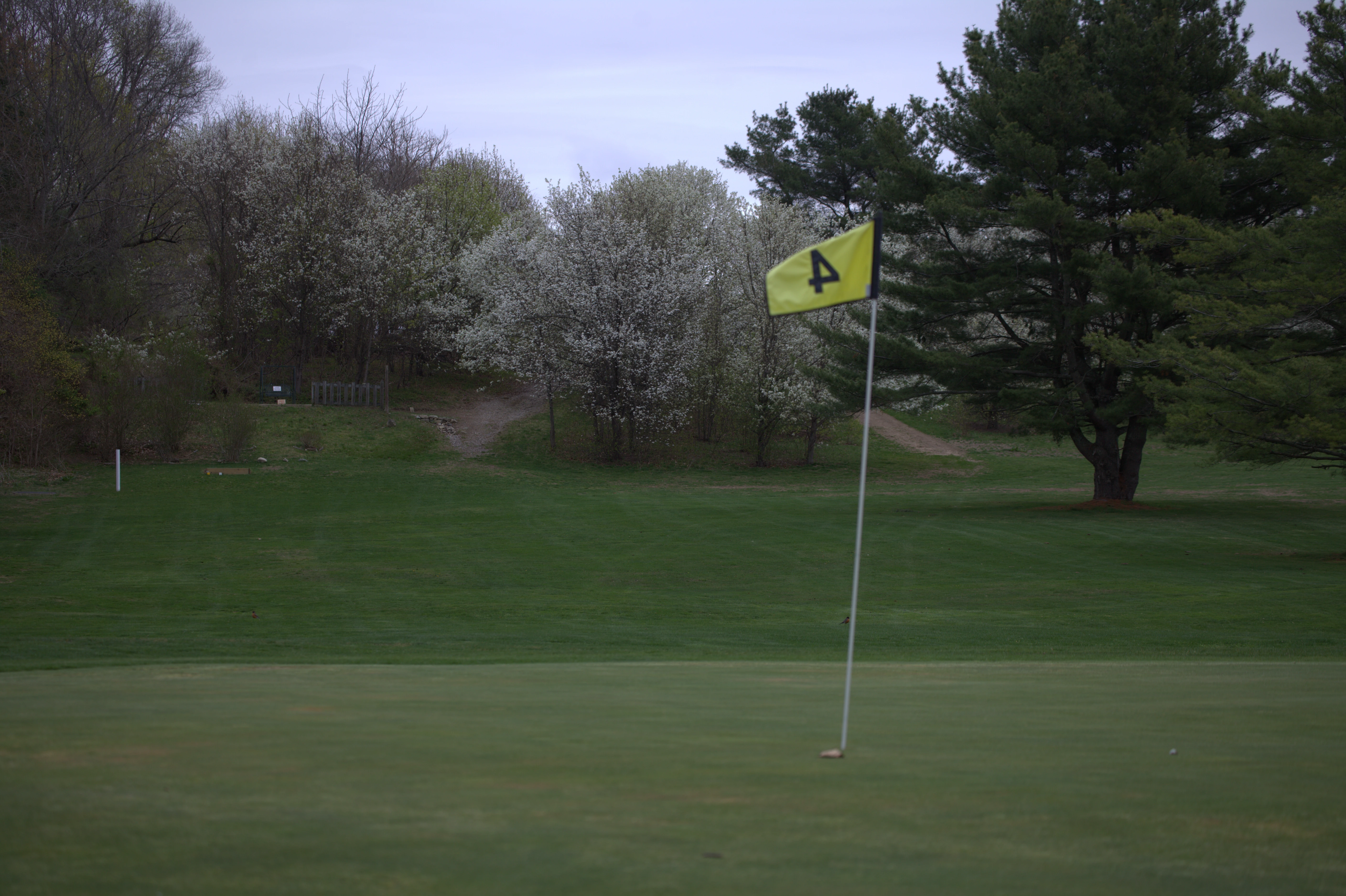 Silver Springs Green