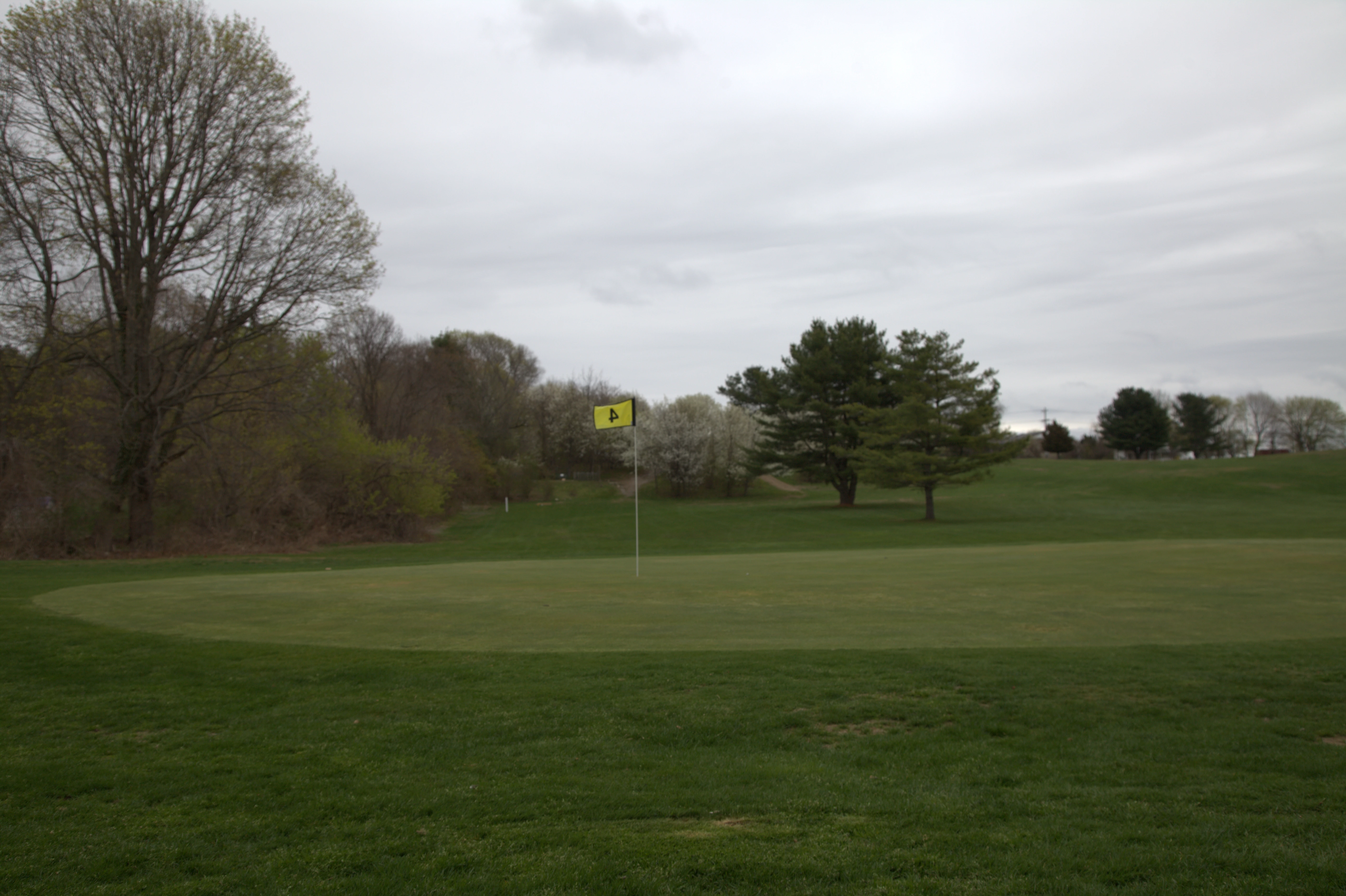 Silver Springs Green