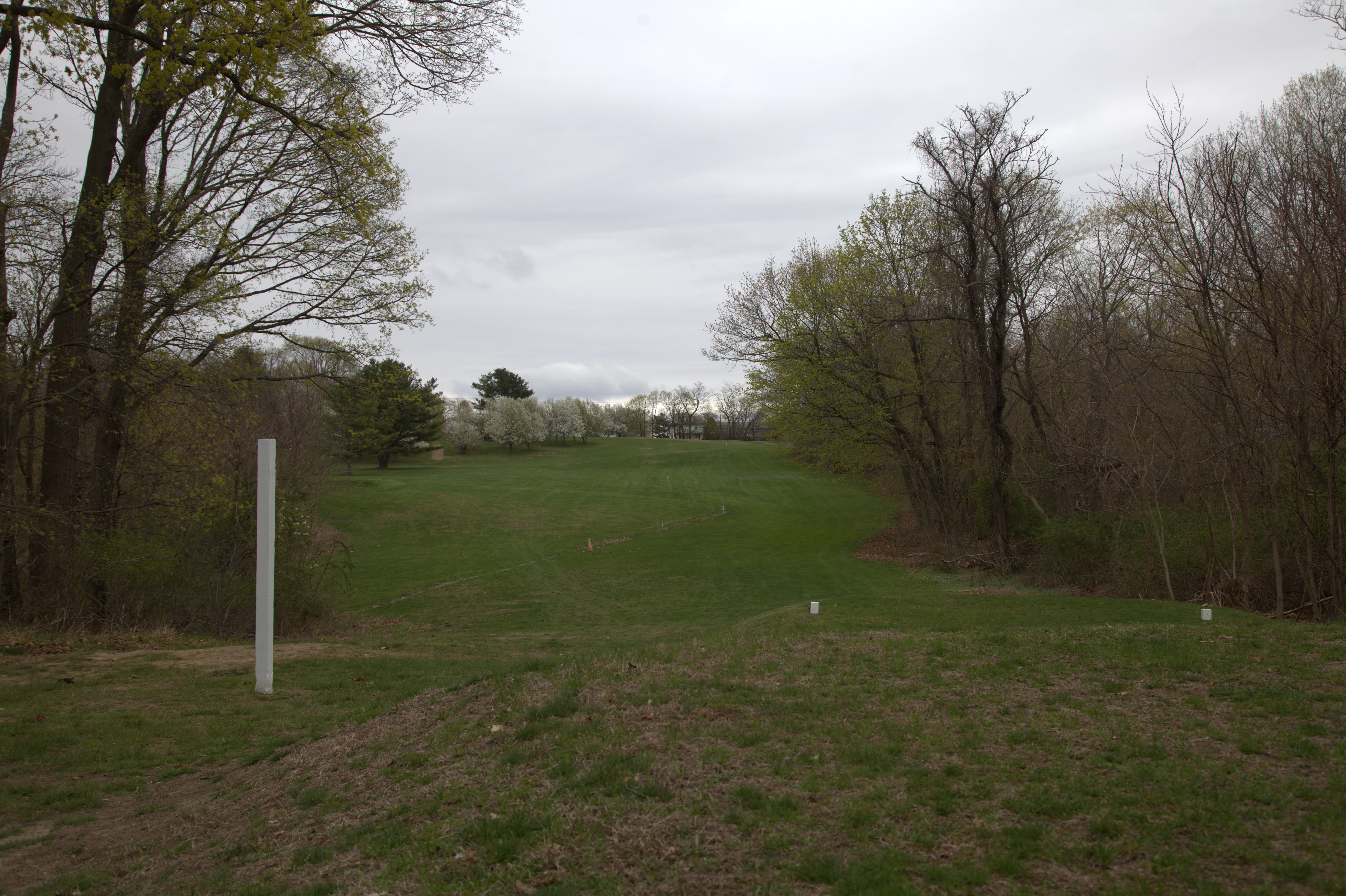 Championship Golf