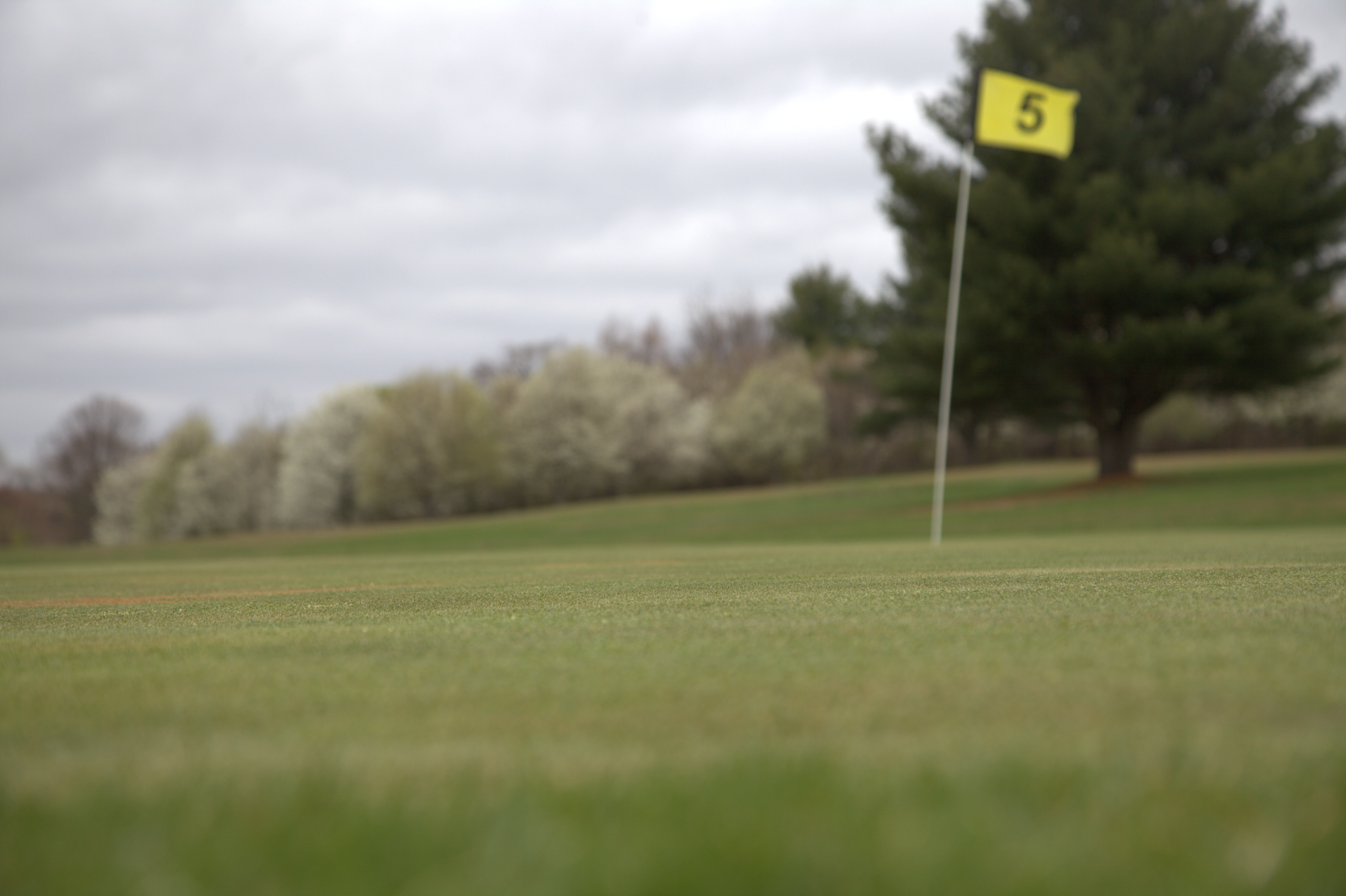Silver Springs Green