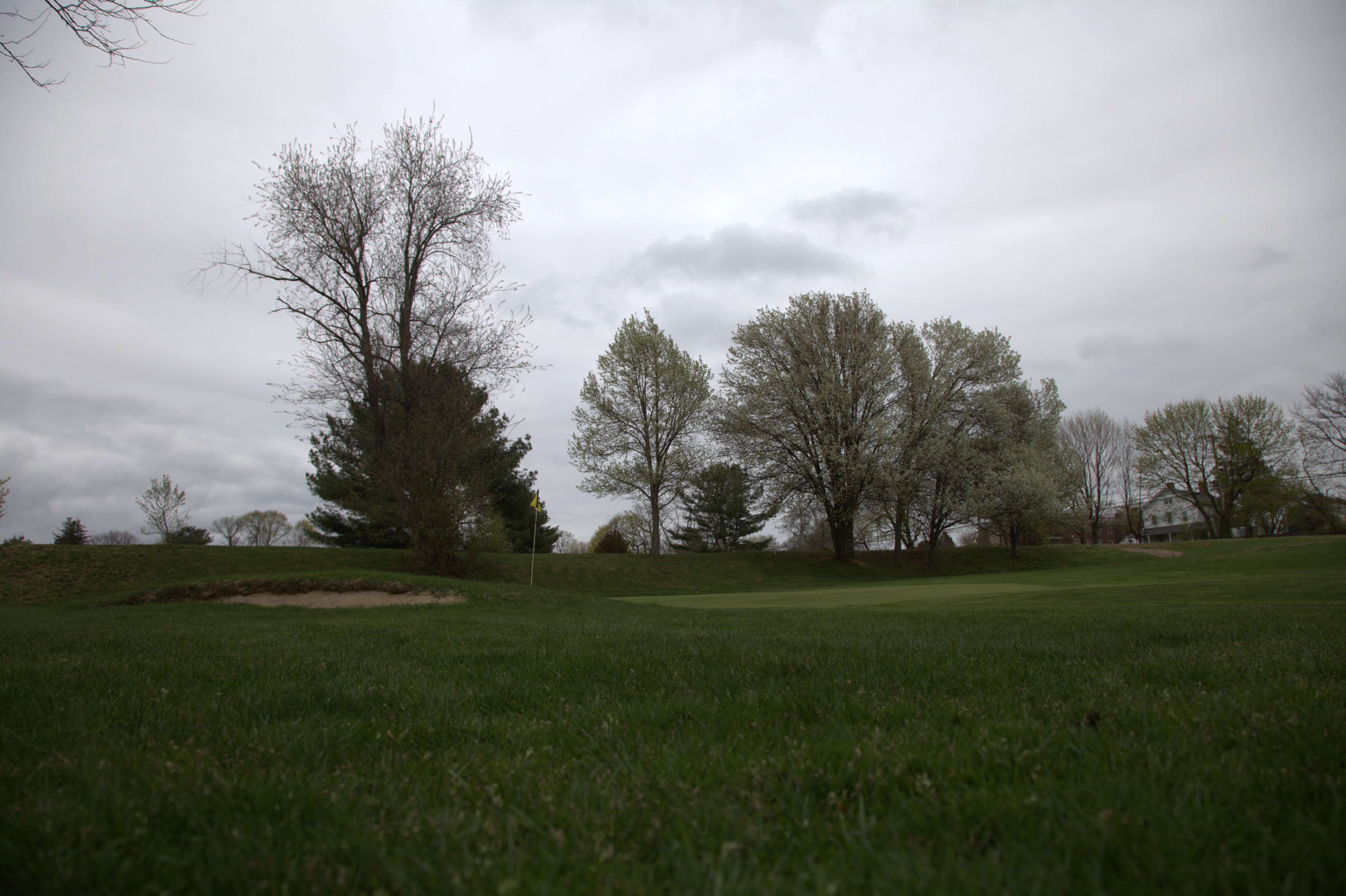 Championship Golf