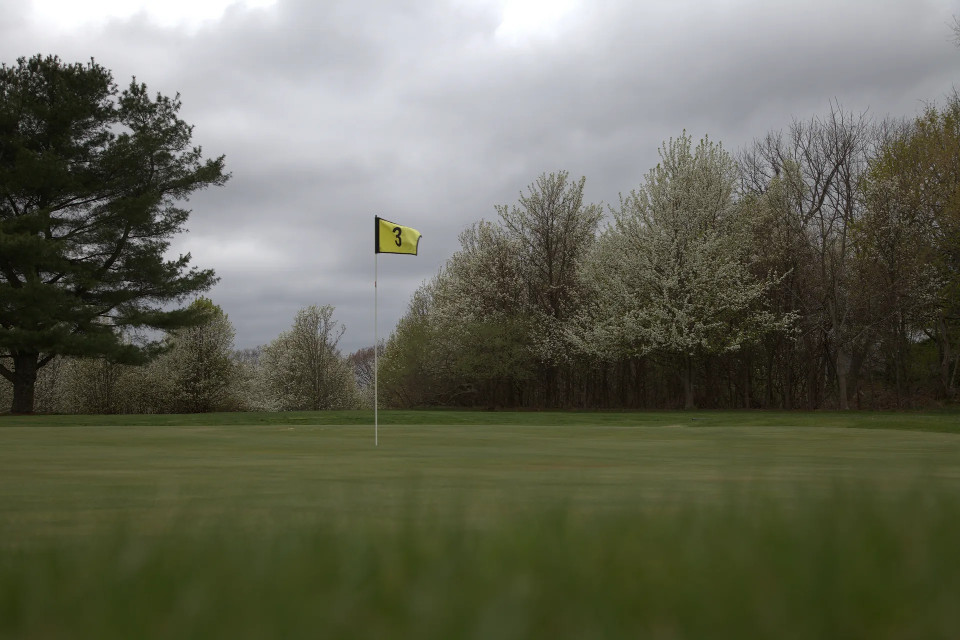 Wide view of course conditions and green at Silver Spring Golf Club in Riverside RI
