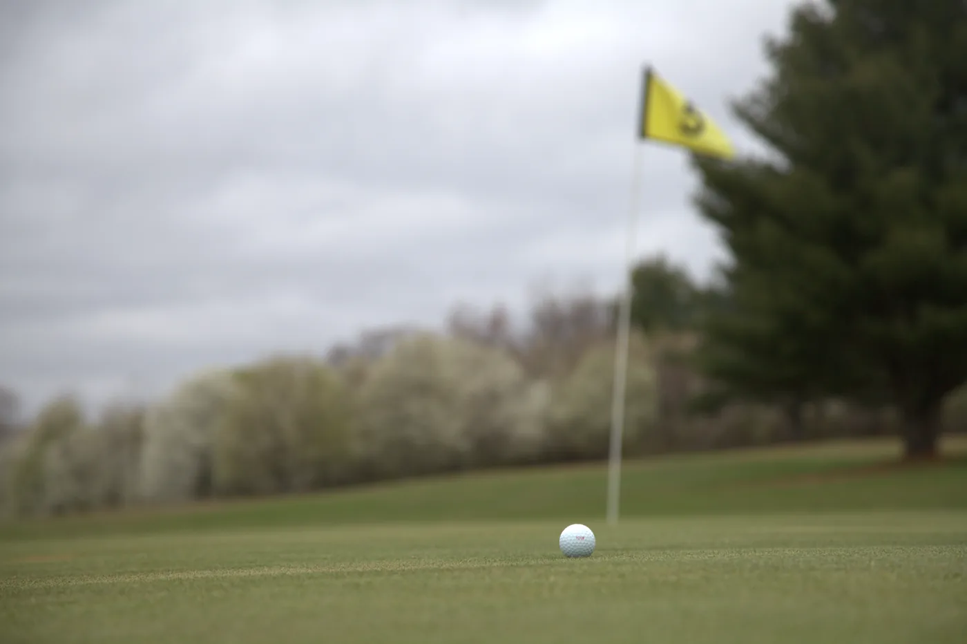 Golf ball near the pin on a Silver Spring Golf Club putting green