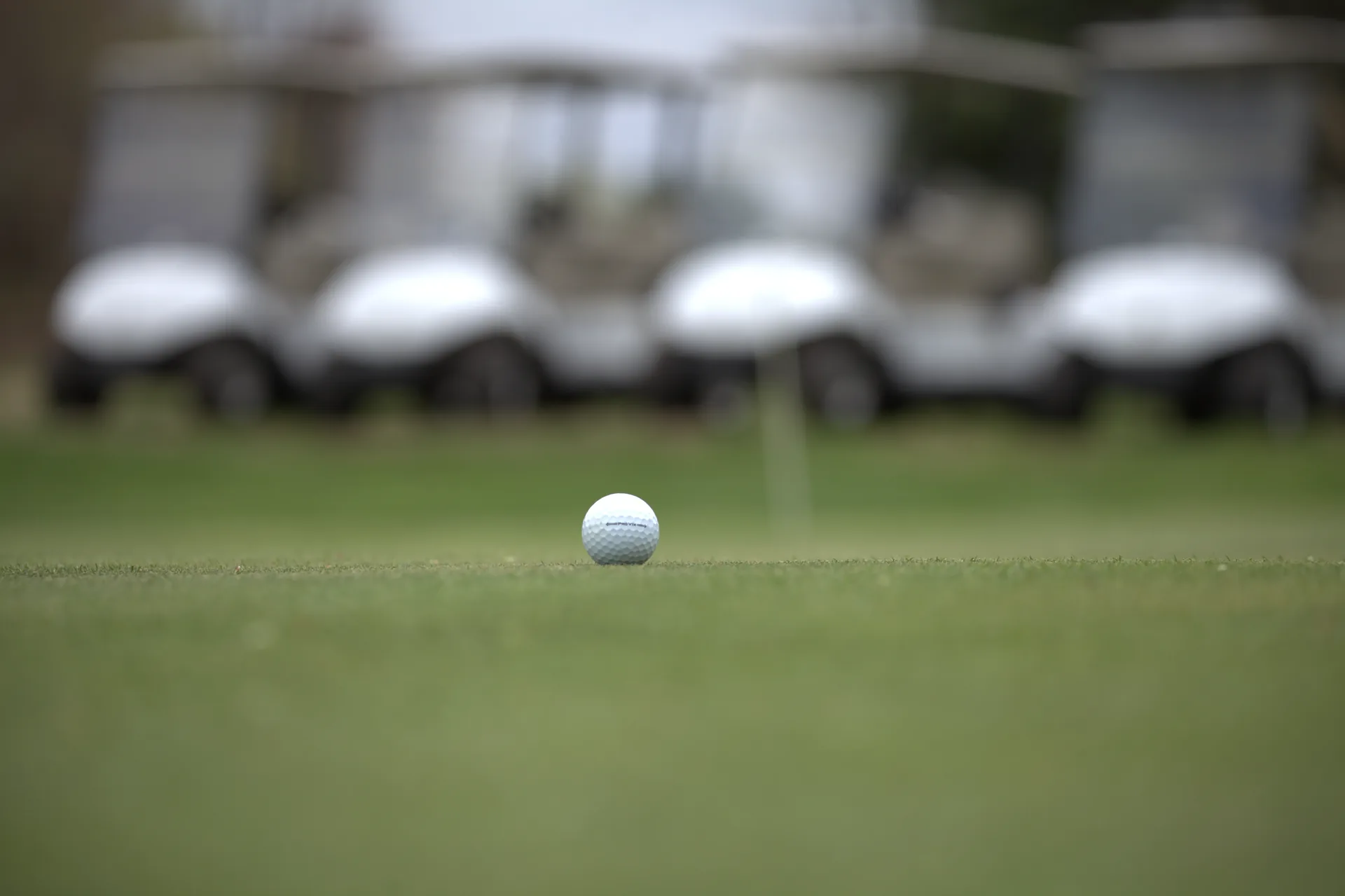 Golf ball on a putting green at Silver Spring Golf Club in Riverside RI