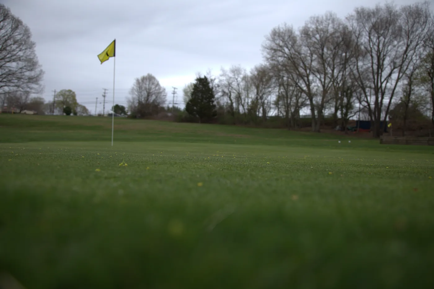 Low-angle view across a Silver Spring Golf Club green and flagstick