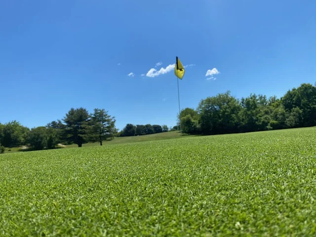 Low-angle view across a Silver Spring green beneath a clear blue summer sky