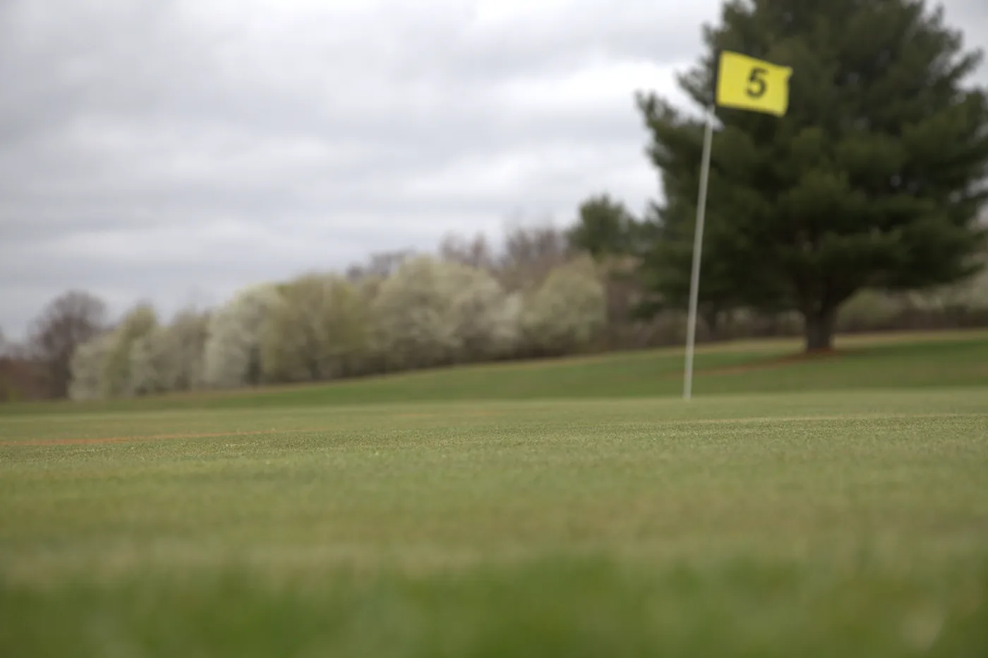 Hole 5 flag on a putting green at Silver Spring Golf Club