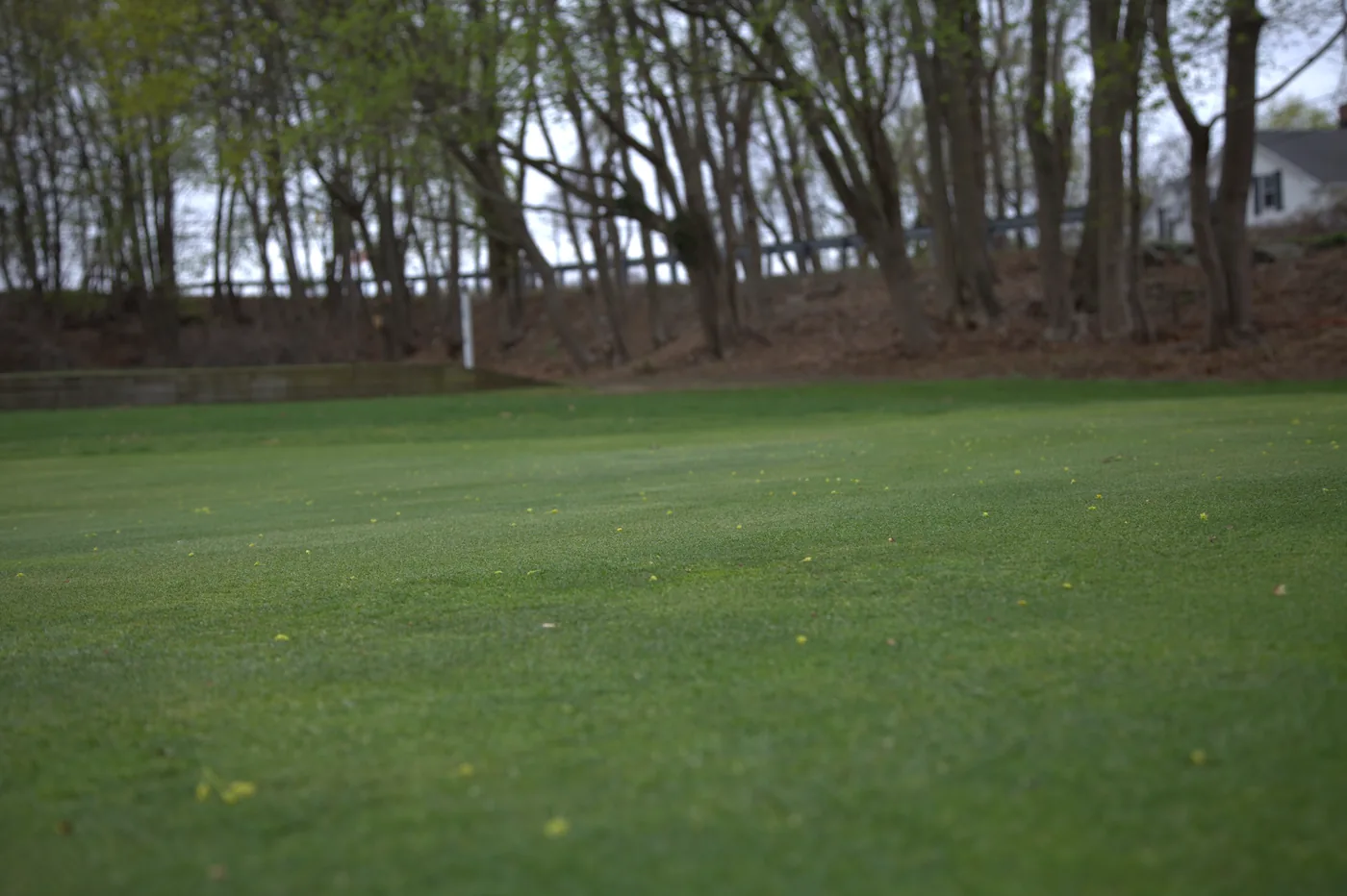 Close view of a putting surface at Silver Spring Golf Club