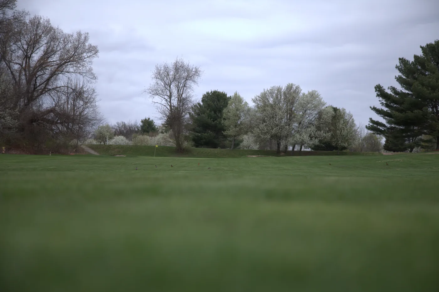 Scenic course view at Silver Spring Golf Club in Riverside RI