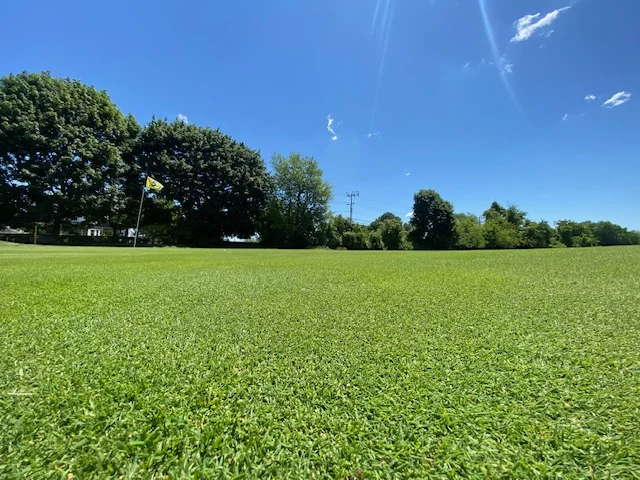 Wide low-angle summer view across a Silver Spring green with the pin flag in the distance
